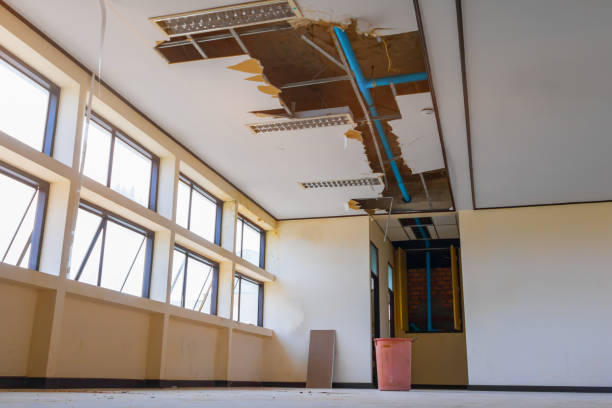 Best Plumbing Leak and Burst Pipe Cleanup in Monroe, IA