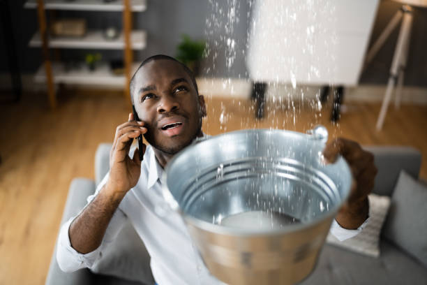 Best Carpet and Upholstery Water Damage Restoration in Monroe, IA