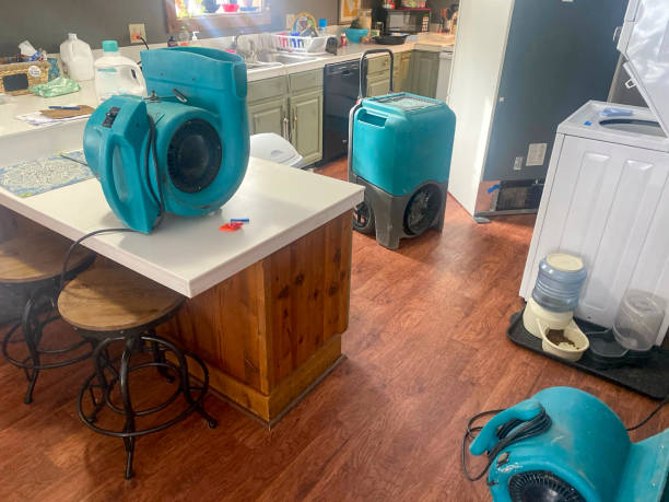 Best Wood Floor Water Damage Restoration in Monroe, IA