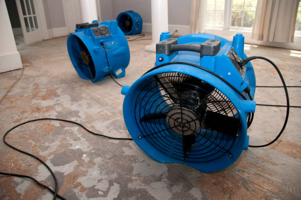 Best Emergency Water Extraction Services in Monroe, IA